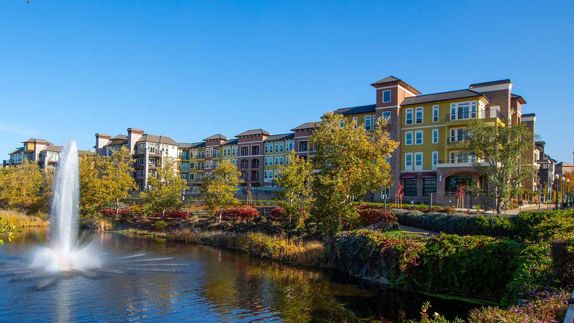 Element 79 apartments in front of large pond with fountain lined with trees and benches.